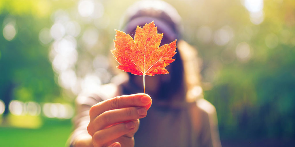 Chương Trình Nhân Viên Trình Độ Cao Liên Bang- Dòng Xét Duyệt Nhanh Phát Hành Thư Mời Nộp Đơn Nhập Cư Đợt Thứ 18 Với Điểm Số Thấp Nhất 450