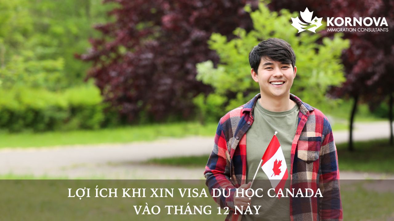 Lợi Ích Khi Xin Visa Du Học Canada Vào Tháng 12 Này