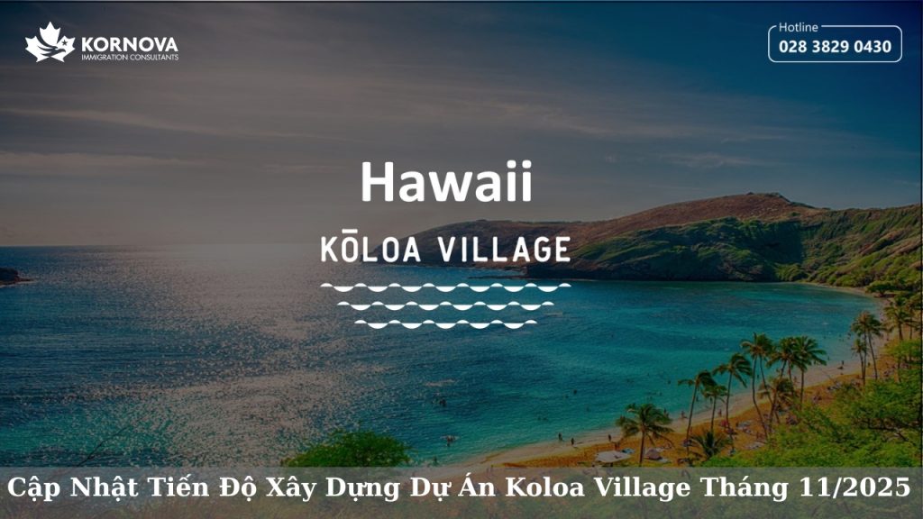 Dự Án EB-5 Hawaii Koloa Village: Cập Nhật Tiến Độ Xây Dựng Tháng 11/2025